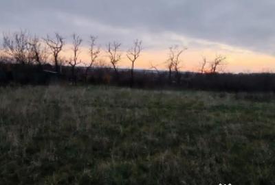 Teren de 4760 mp, în Ghercești - 2