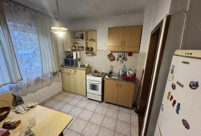 Apartament 3 camere, etaj 1 2 terase - Str. Topolnitei cu Dr. Babes - 4