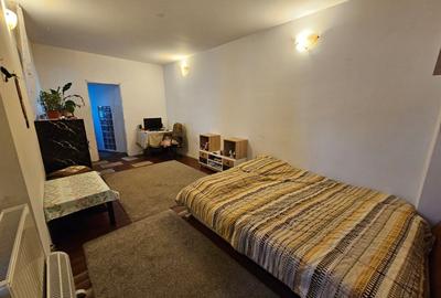 Casă individuală cu 2 camere cu Canalizare în Bucureștii Noi - 3