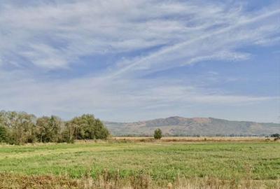 Teren de 3300 mp, în Dridif - 1