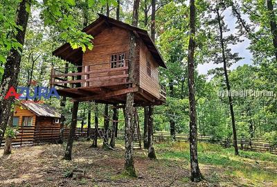 Casă de vacanță în pădure, 10 km de Pitești - Babana - 6