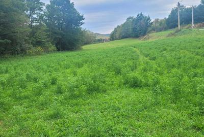 Teren de 7100 mp, în Săcel - 1