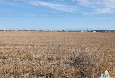 Teren Techirghiol - 5