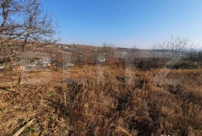 Teren de 4990 mp, în Tomești - 1