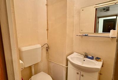 Apartament cu 4 camere semidecomandat în Teiul Doamnei - 14