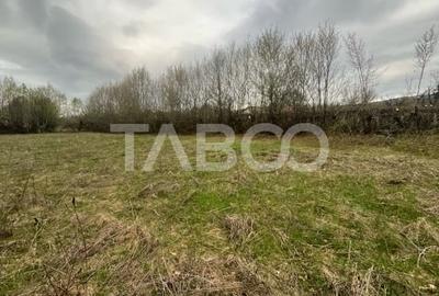 Teren intravilan de vanzare 550m front 21 m utilitati la 120m Cisnadie - 2