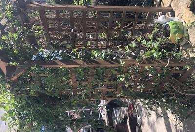 Vanzare casa duplex Suceava utracentral - 5