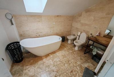 Casă cu Teren 3700 Mp în Bejan - 2