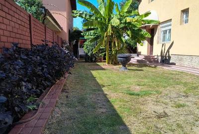 Vand casa P+M, 8 camere,teren 760 mp, zona Lipovei Vand casa P+M, 8 camere,teren 760 mp, zona Lipovei - 4