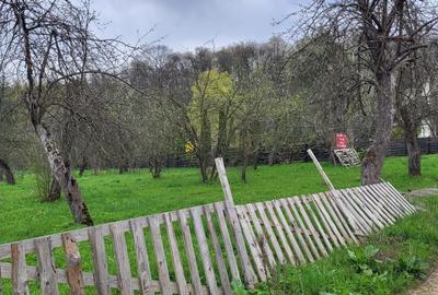 Teren de 2900 mp, în Rădășeni - 2