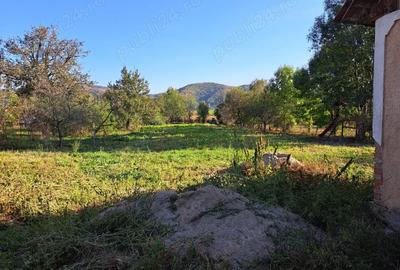 Casa de vanzare cu CF Barsau Mare - 7