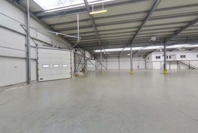 Hala industriala de vanzare 1857 mp - 7