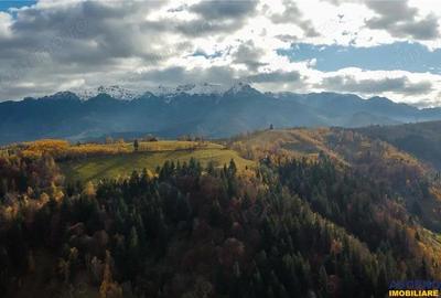 Proprietate autentica, stil traditional:Eco, cu parau pitoresc si vedere spectaculoasa, teren 900 mp - 13