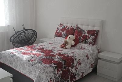 Apartament cu 2 camere decomandat, mobilat în Central - 2
