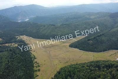 Teren de vanzare in apropiere de Transfagara?an ?i Valea Valsanului. - 4