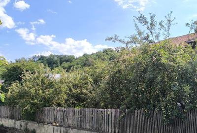 Casa spatioasa 8 camere+cladire auxiliara pretabil locuinta sau afacere+magazin - 2