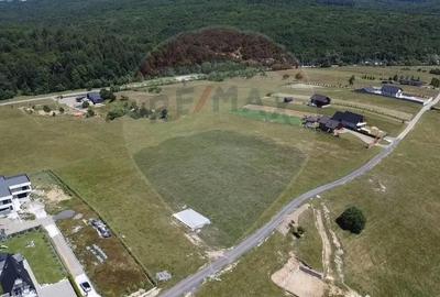 Teren de 3322 mp, în Paltin - 9