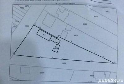 Casa cu teren 2000mp - 5