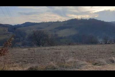 Spațiu comercial, în Călățea - 6