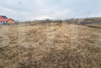 Teren de 1250 mp, în Central