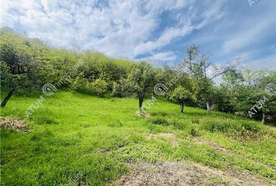 Teren intravilat de 1811 mp situat in Sibiel judetul Sibiu - 4