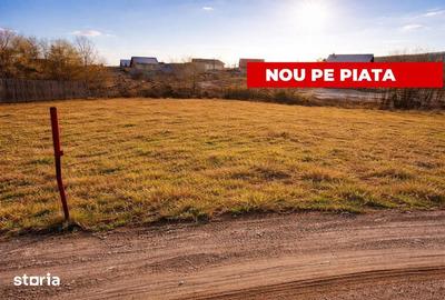 Teren de 631 mp, în Moșoaia - 3