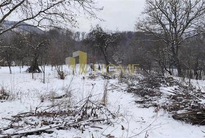 Casă cu Teren 3300 Mp în Poiana - 1