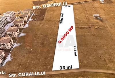 Spațiu comercial, în Turnișor - 4