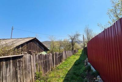 Casă cu 2 camere cu Teren 550 Mp în Teliucu Inferior - 4