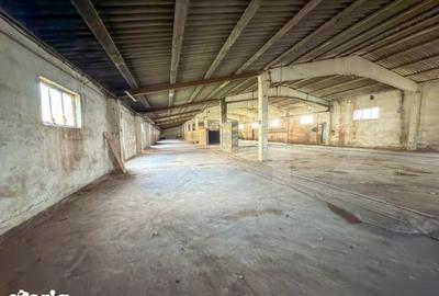 Spațiu comercial, de 2,000 mp, în Aușeu - 11