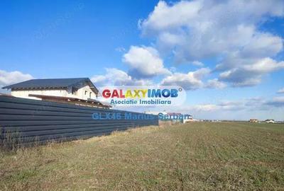 Vanzare teren intravilan Ulmi - 3