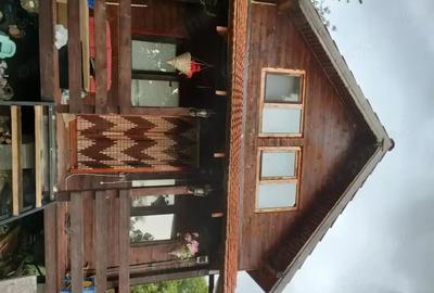 Casă cu 2 camere cu Teren 5500 Mp în Sibișel (Beriu) - 8