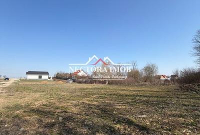 Spațiu comercial, în Alparea