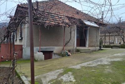 Casă cu 4 camere în Topleț - 5