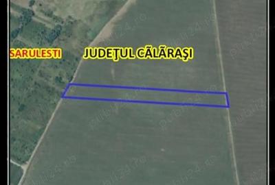 Teren de 19000 mp, în Sărulești - 2