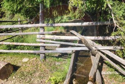 Teren de 24581 mp, în Panaci - 17