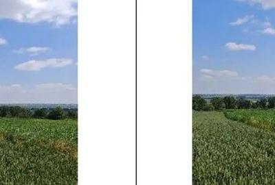 Teren de 1000 mp, în Bosanci