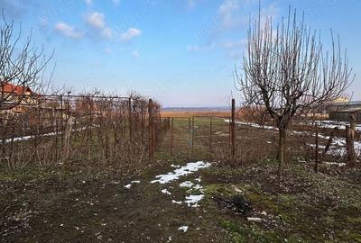 Casă cu 6 camere cu Teren 5700 Mp în Central - 4