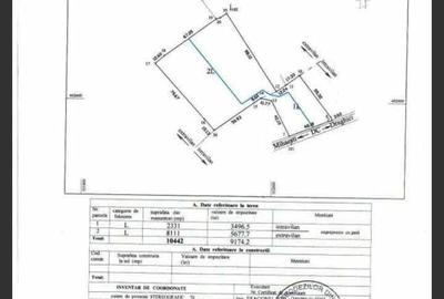 Teren de 10400 mp, în Central