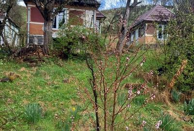 Casă în Fițcău - 2