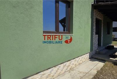 Casa de vanzare S+P+E zona Alba Micesti cu 800 mp teren - 16