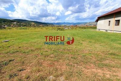 Casă Individuală cu Teren Generos 1467 mp - 9