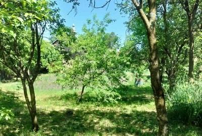 Casă cu 4 camere cu Teren 2418 Mp în Dumbrava - 7