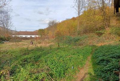 Casă cu 4 camere în Dognecea