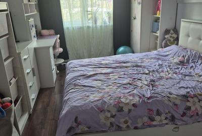 Casă cu 2 camere în Micălaca - 1