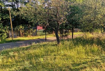 Teren de 2700 mp, în Dobreni - 6