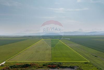 Teren 42,000mp Tarlungeni / Strada Izvor - 2