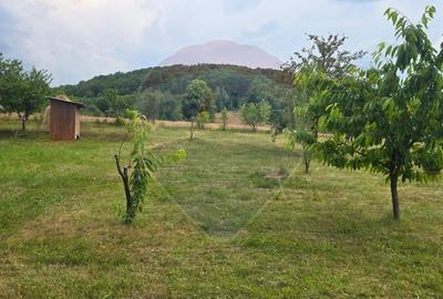 Casă cu 4 camere cu Teren 2000 Mp în Damiș - 42