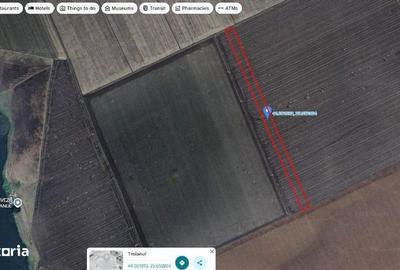 Teren de 4040 mp, în Troianul - 5