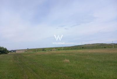 Teren agricol intravilan de 30000 mp, în Exterior Vest